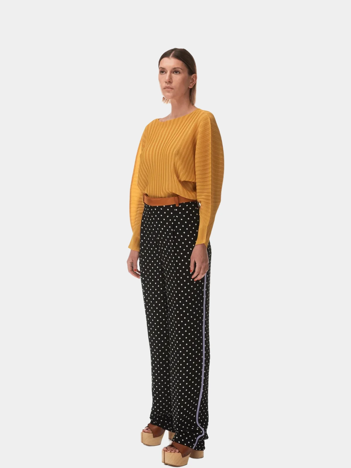 2a5c76f0-54c9-4702-b722-dc32042d9b94 Штани Haider Ackermann в горошок з лампасами - INVOGA
